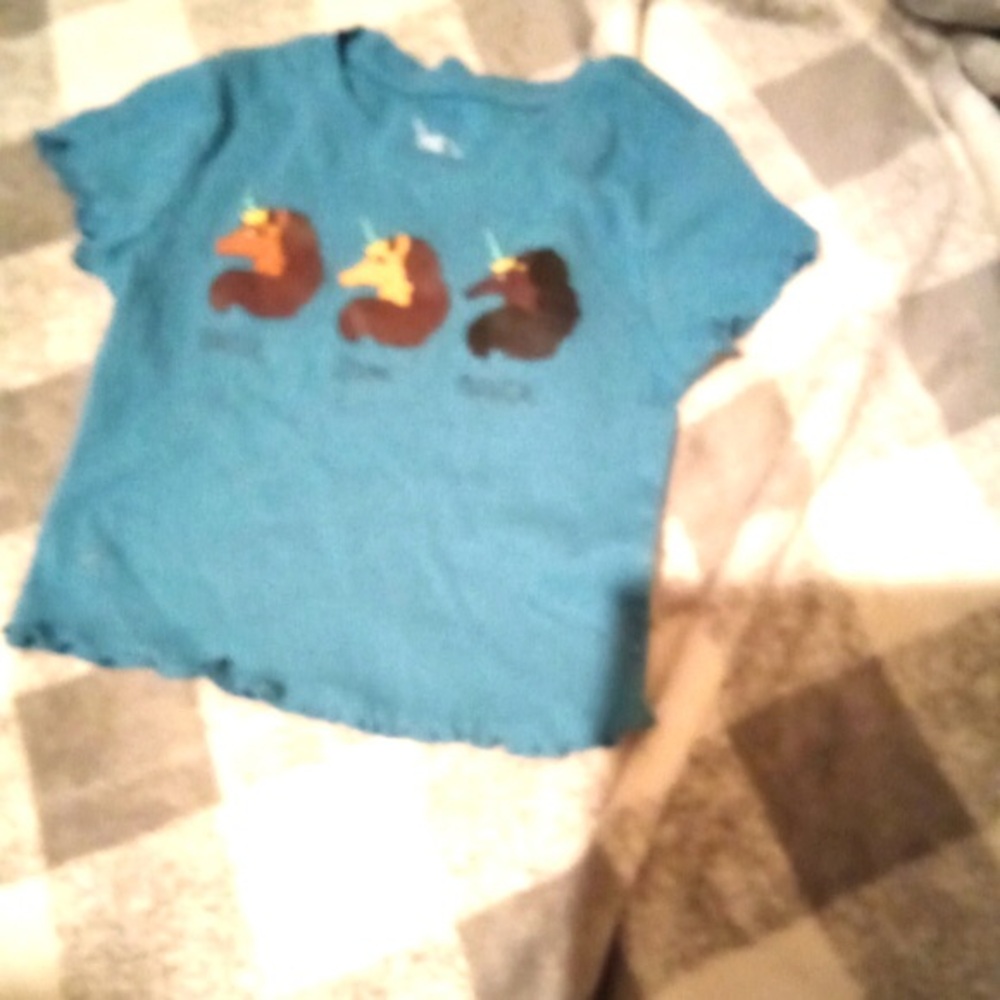 wild fable Teal Short Sleeve Tee with Three Duck Silhouettes